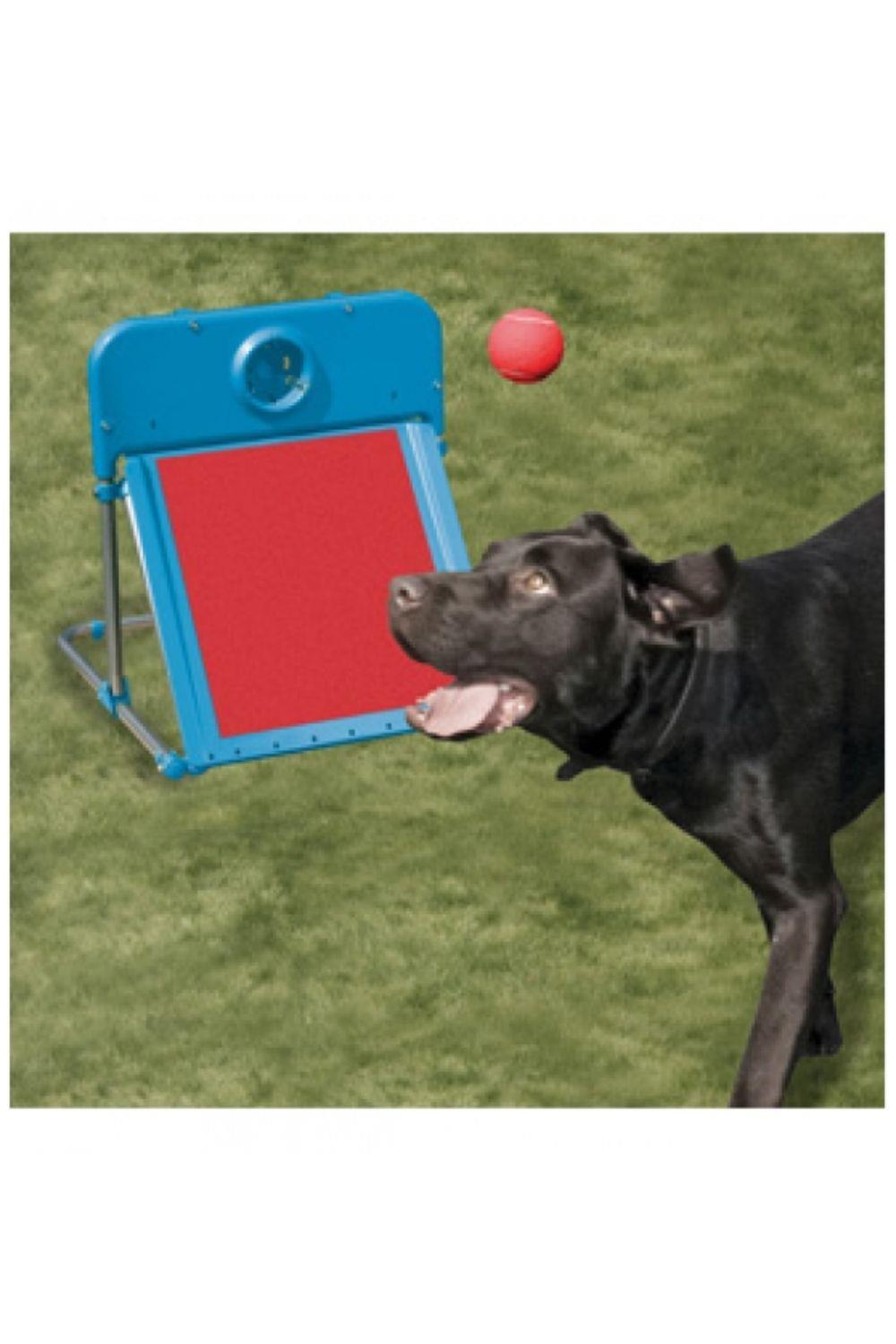 ROSEWOOD Rosewood Dog Agility Flyball