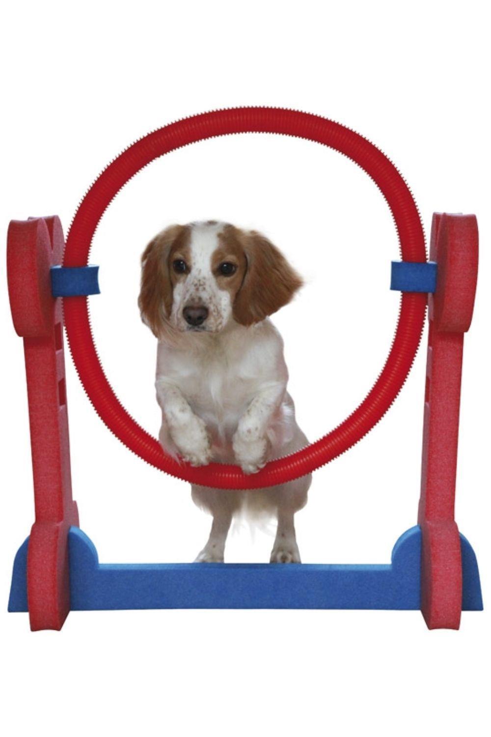 ROSEWOOD Rosewood Small Dog Agility Hoop