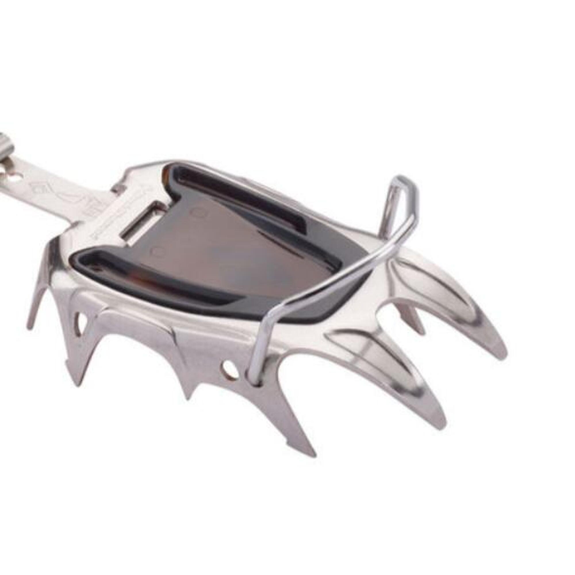 Black Diamond Equipment Sabretooth Pro Crampons Reviews Black