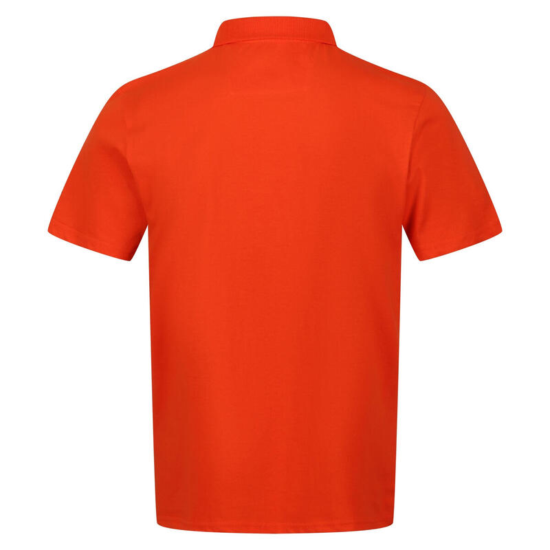 Heren Sinton Lichtgewicht Poloshirt (Roestige sinaasappel)