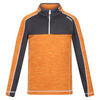 Kinderen/Kinderen Hewley Recycled Half Zip Fleece Top (Oranje peper/Grijs)