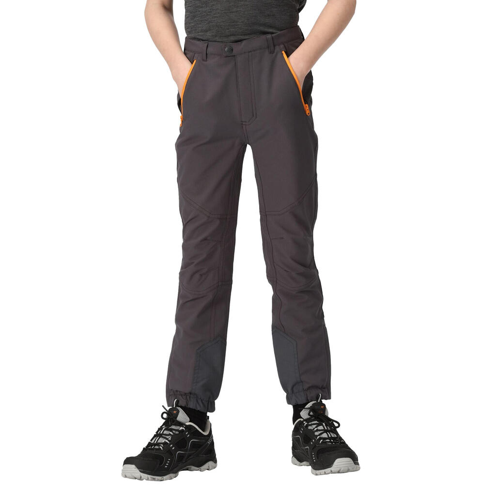 Childrens/Kids Tech Mountain Hiking Trousers (Seal Grey/Apricot Crush)