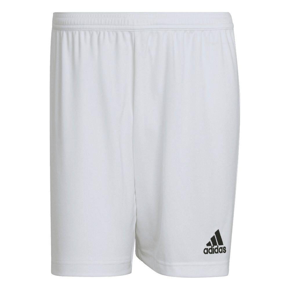 ADIDAS Pantalón Corto Adidas Sport Ent22 Sho Blanco Adulto