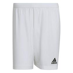 Adidas Sport Ent22 Sho Pantalon Court Blanc Adulte