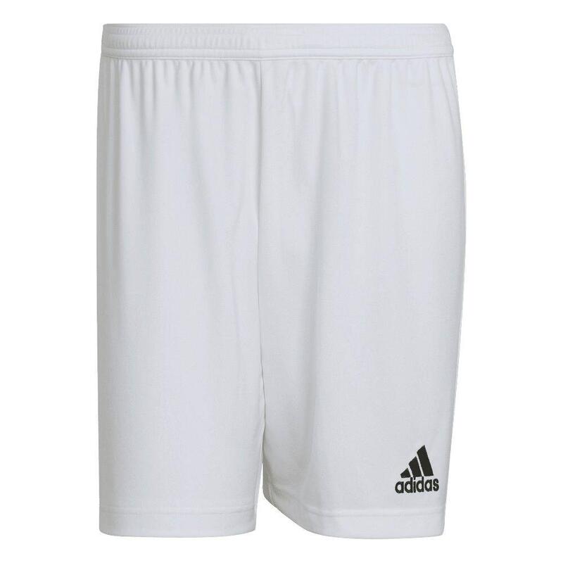 Short Blanc Adidas Sport Ent22 Adulte