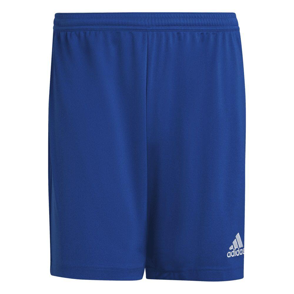 Blauw / Blauw / Lichtblauw