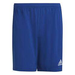 Shorts Adidas Sport Ent22 Sho Royblu Volwassenen