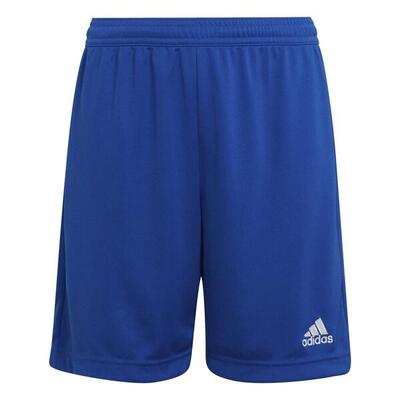 Kinder Fußball Shorts - Entrada 22, grau