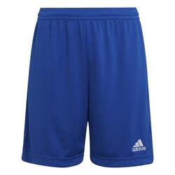 Short football - Entrada 22 bleu