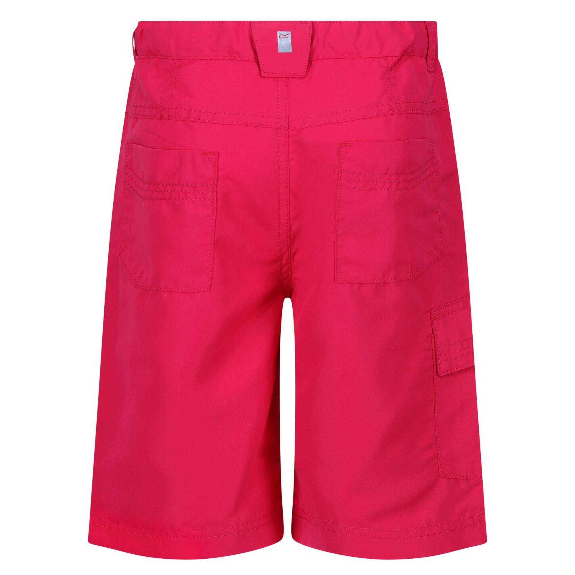 Pantalones cortos senderismo niño Regatta Sorcer II 6/7