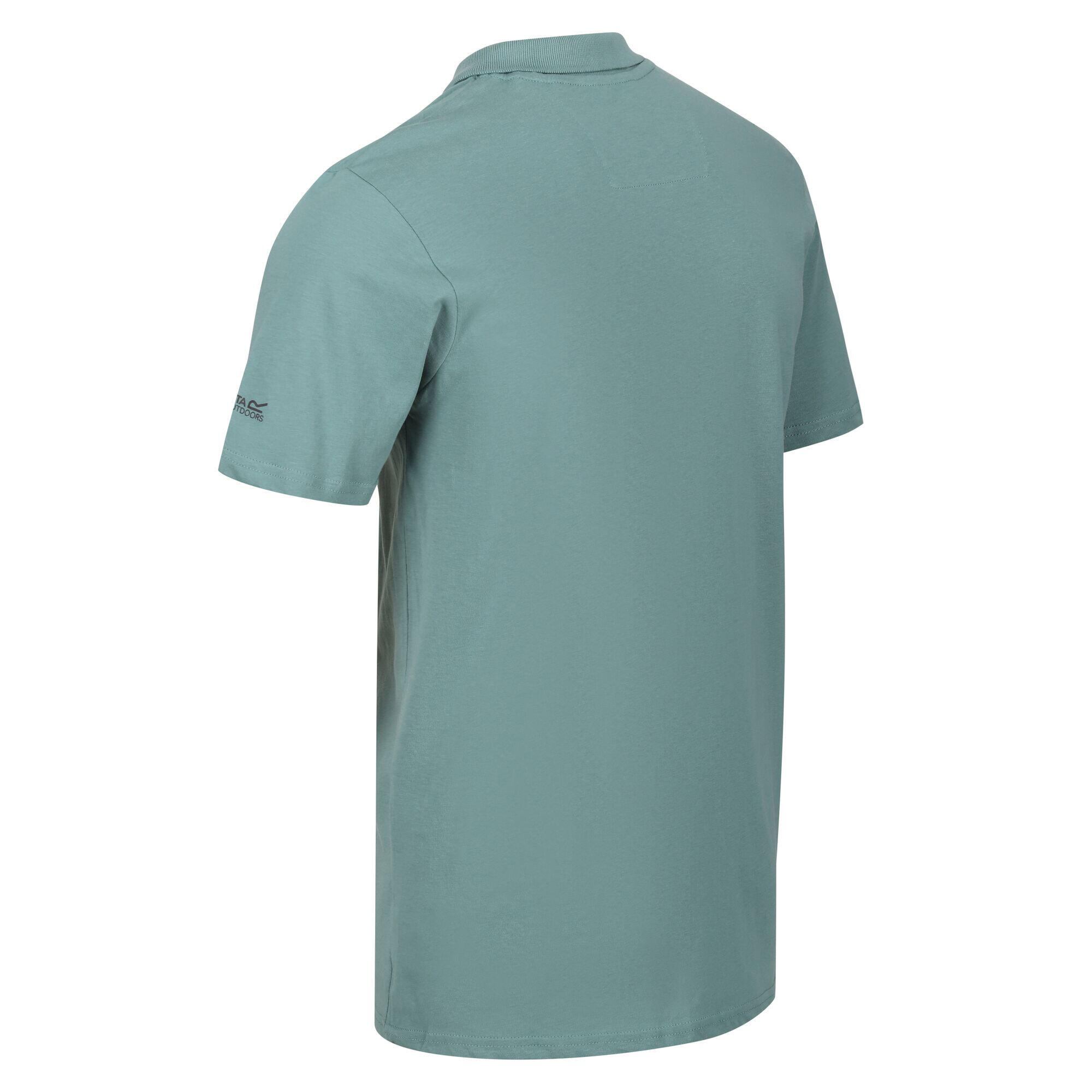 Mens Sinton Lightweight Polo Shirt (Ivy Moss) 4/5