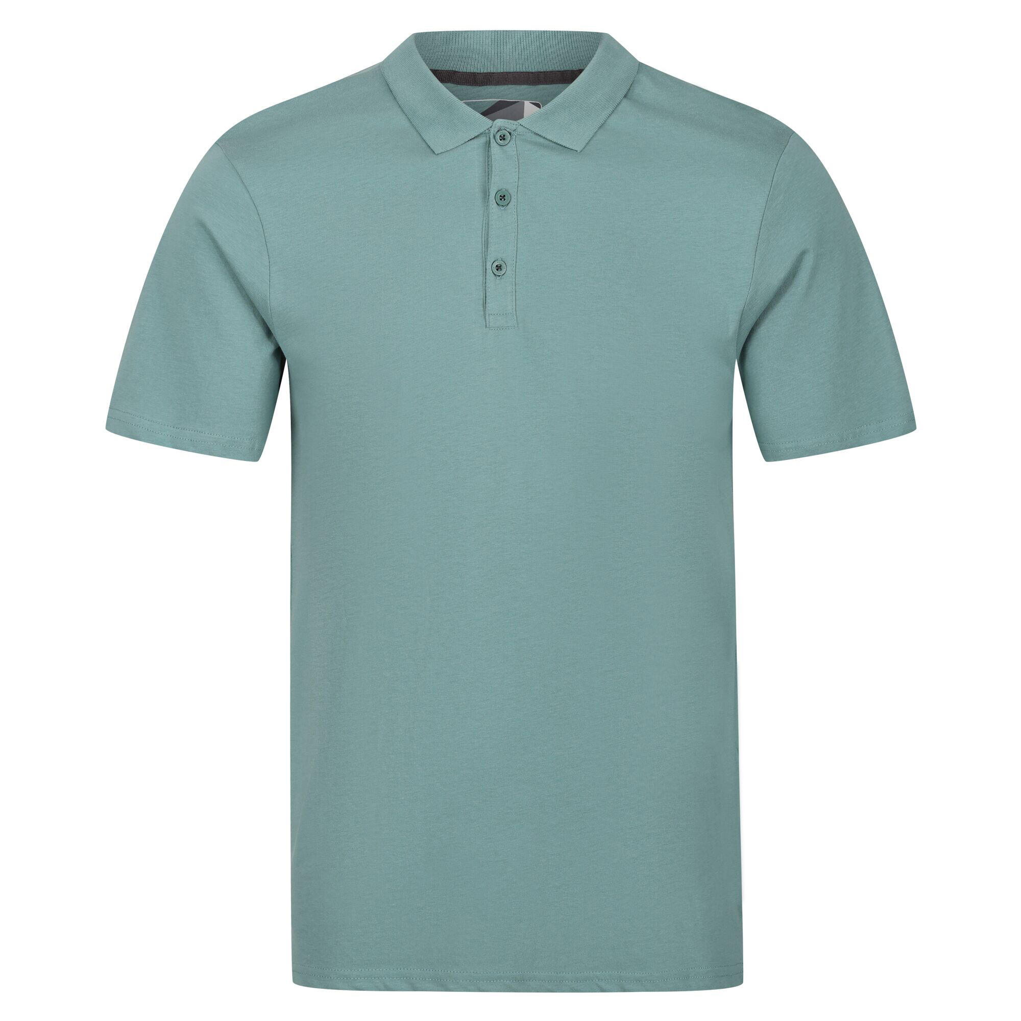 Mens Sinton Lightweight Polo Shirt (Ivy Moss) REGATTA | Decathlon