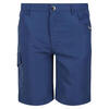 Kinderen/Kinderen Sorcer II Shorts (Blauwe Vleugel)