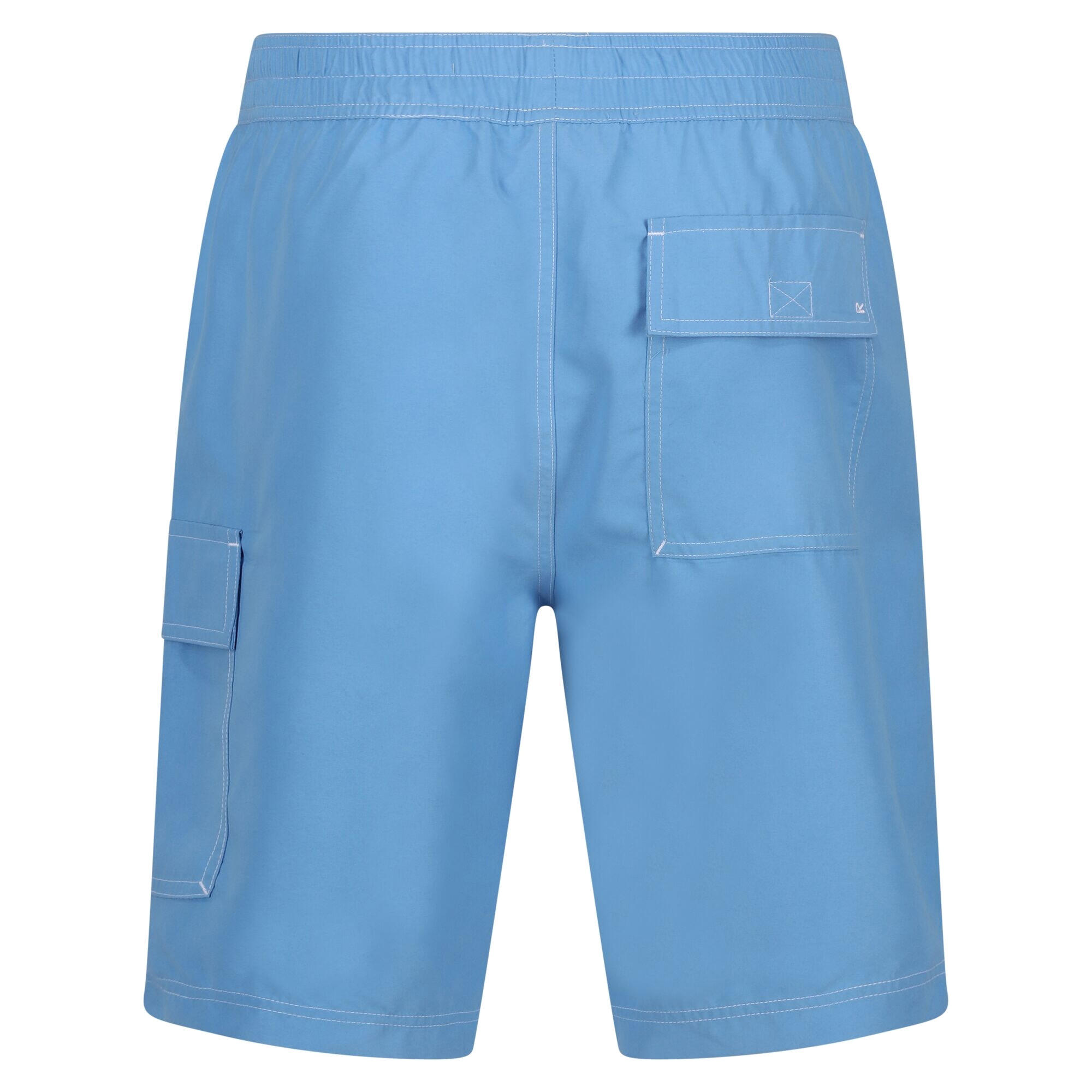 Mens Hotham IV Swim Shorts (Lake Blue) 2/5