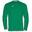 Maillot manches longues Homme Joma Combi vert