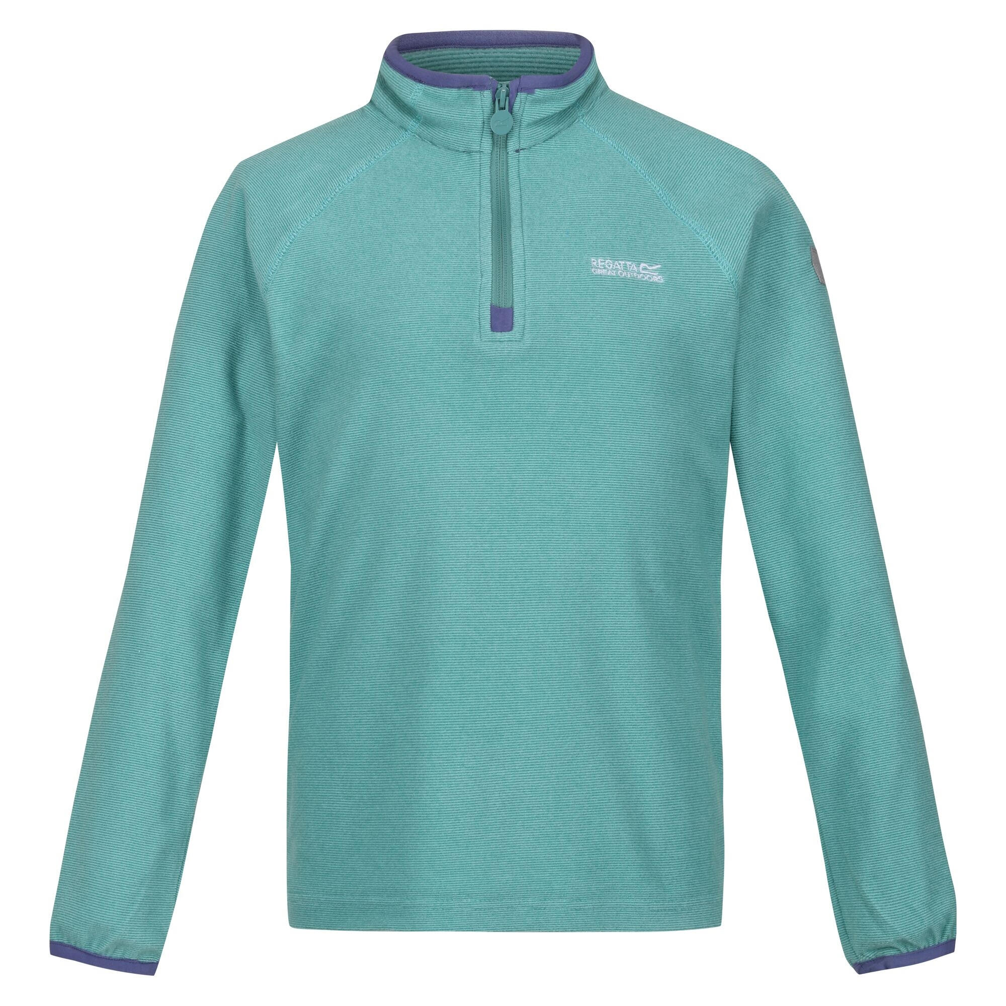 REGATTA Childrens/Kids Loco Fleece (Bristol Blue/Amazonite)