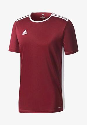 Maillot adidas Entrada 18