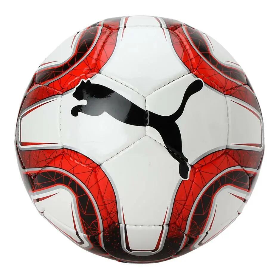PUMA picture