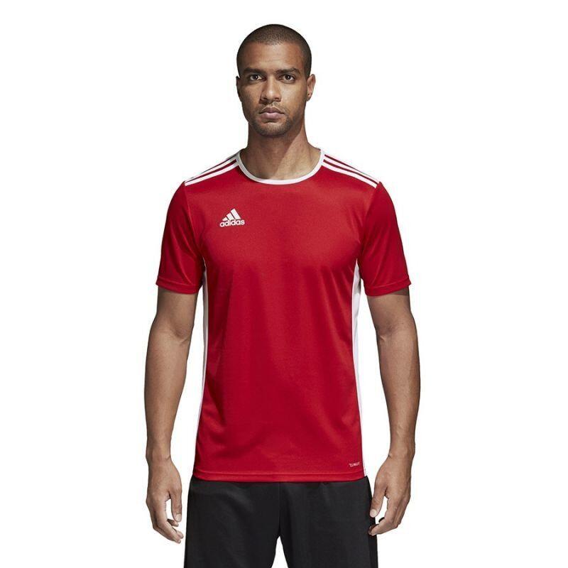 ADIDAS T-shirt Kind Adidas Entrada 18 Red