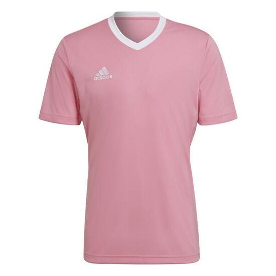 Maillot adidas Entrada 22