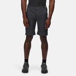 REGATTA Regatta Shorts Highton ShortLong  Hommes India Grey