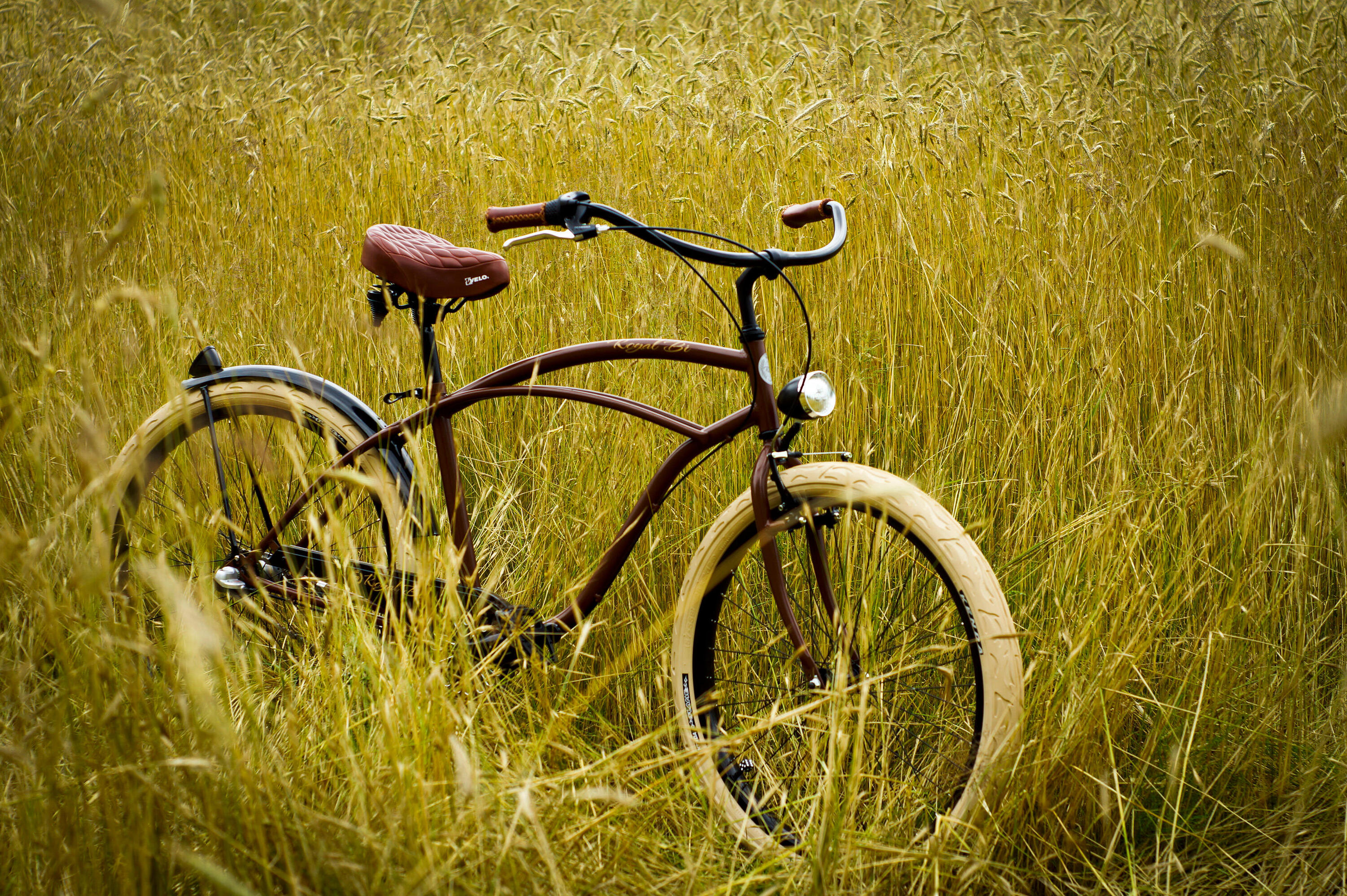 Rower Beach Cruiser Miejski Męski 5/5