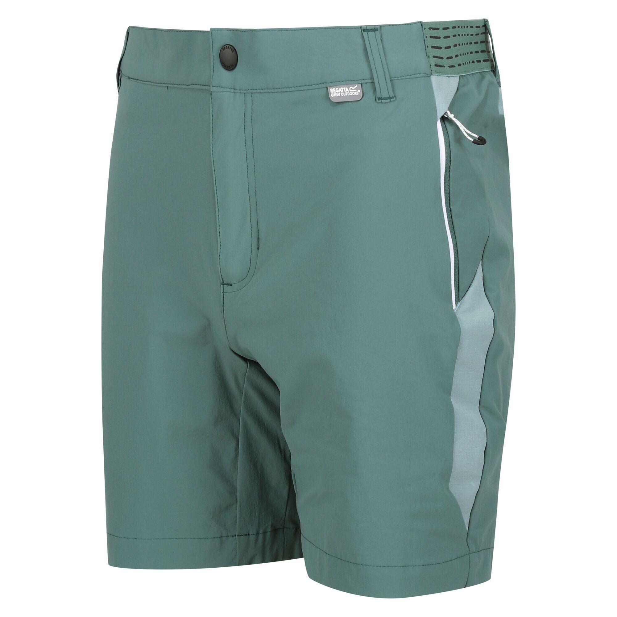 REGATTA Men's Mountain II Walking Shorts