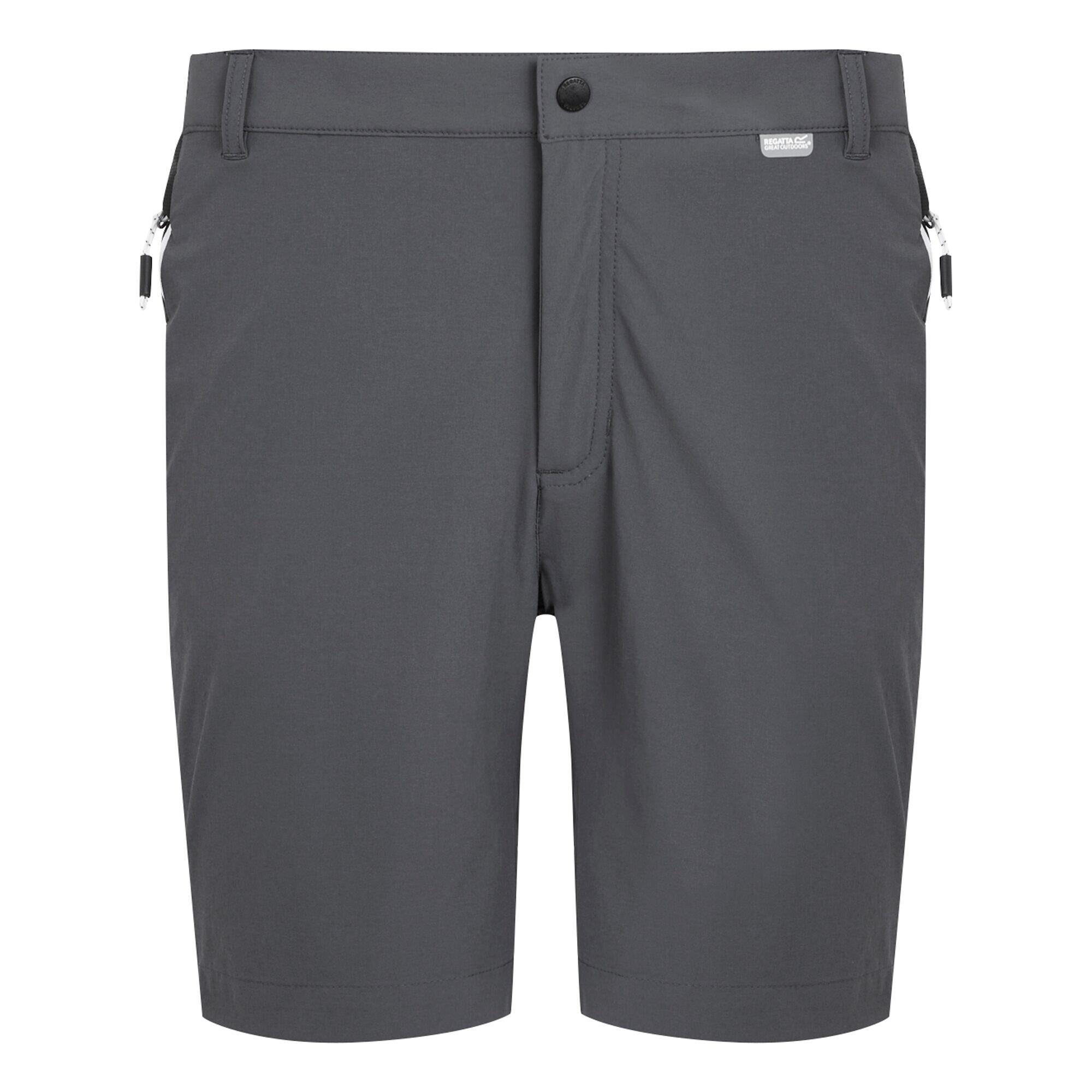 Men's Mountain II Walking Shorts 5/5