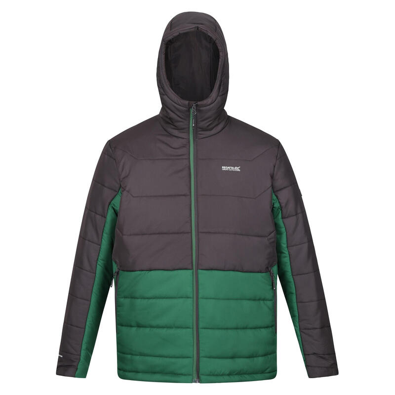 Veste matelassée NEVADO Homme (Vert / Cendre)