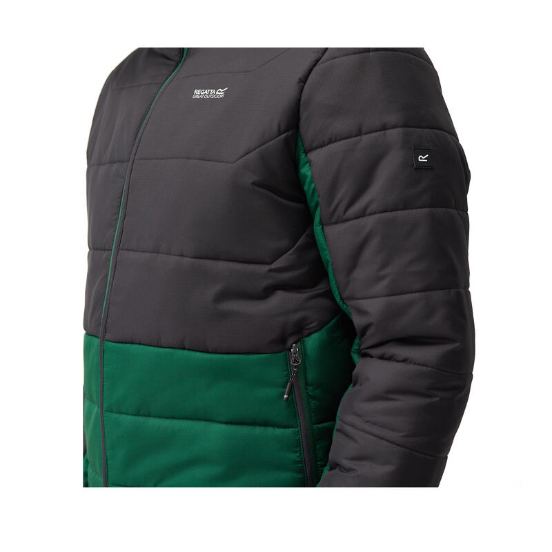 Veste matelassée NEVADO Homme (Vert / Cendre)