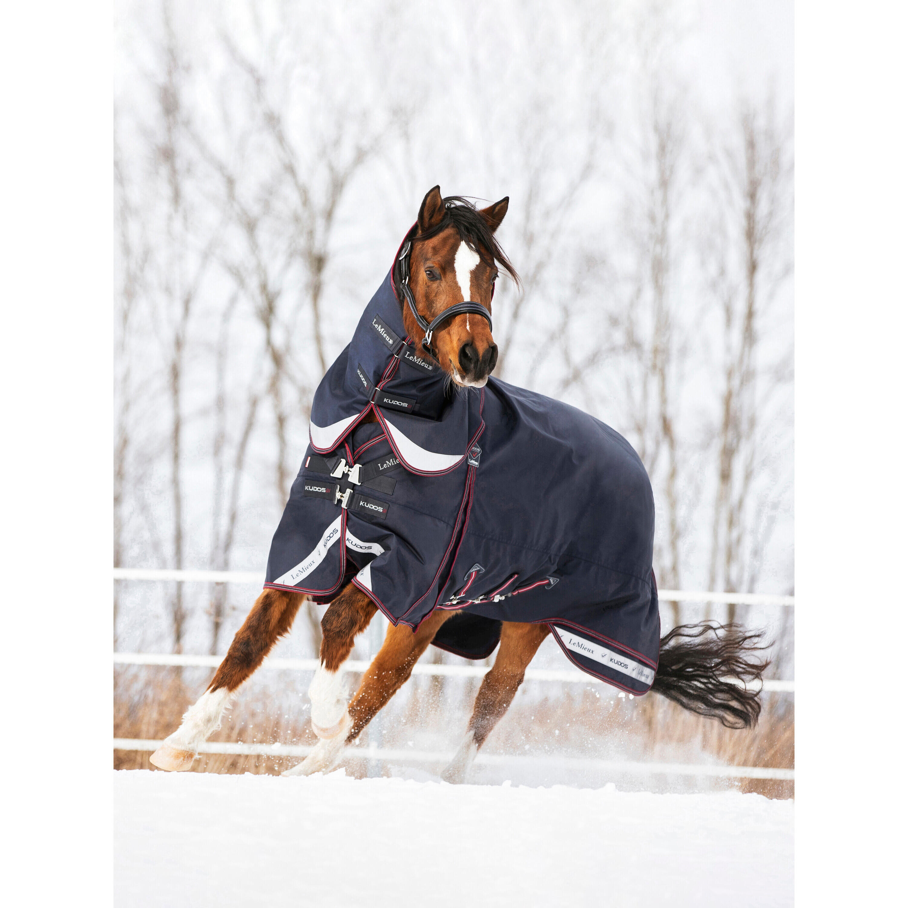 Outdoor paardendeken LeMieux Kudos 200g 3/7