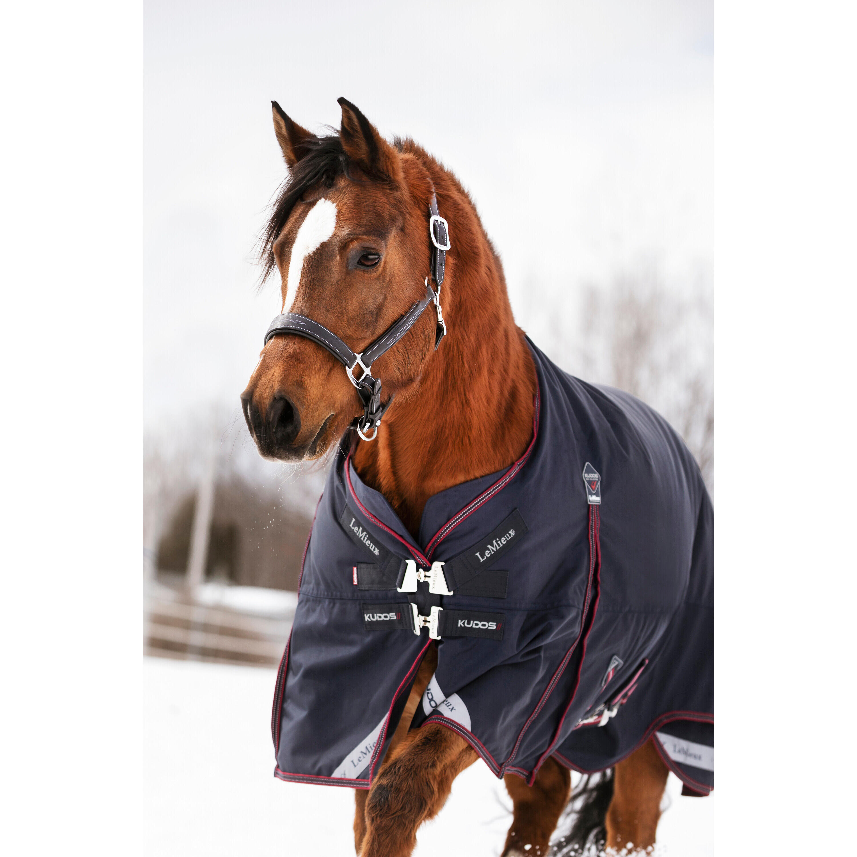 Outdoor paardendeken LeMieux Kudos 200g 4/7