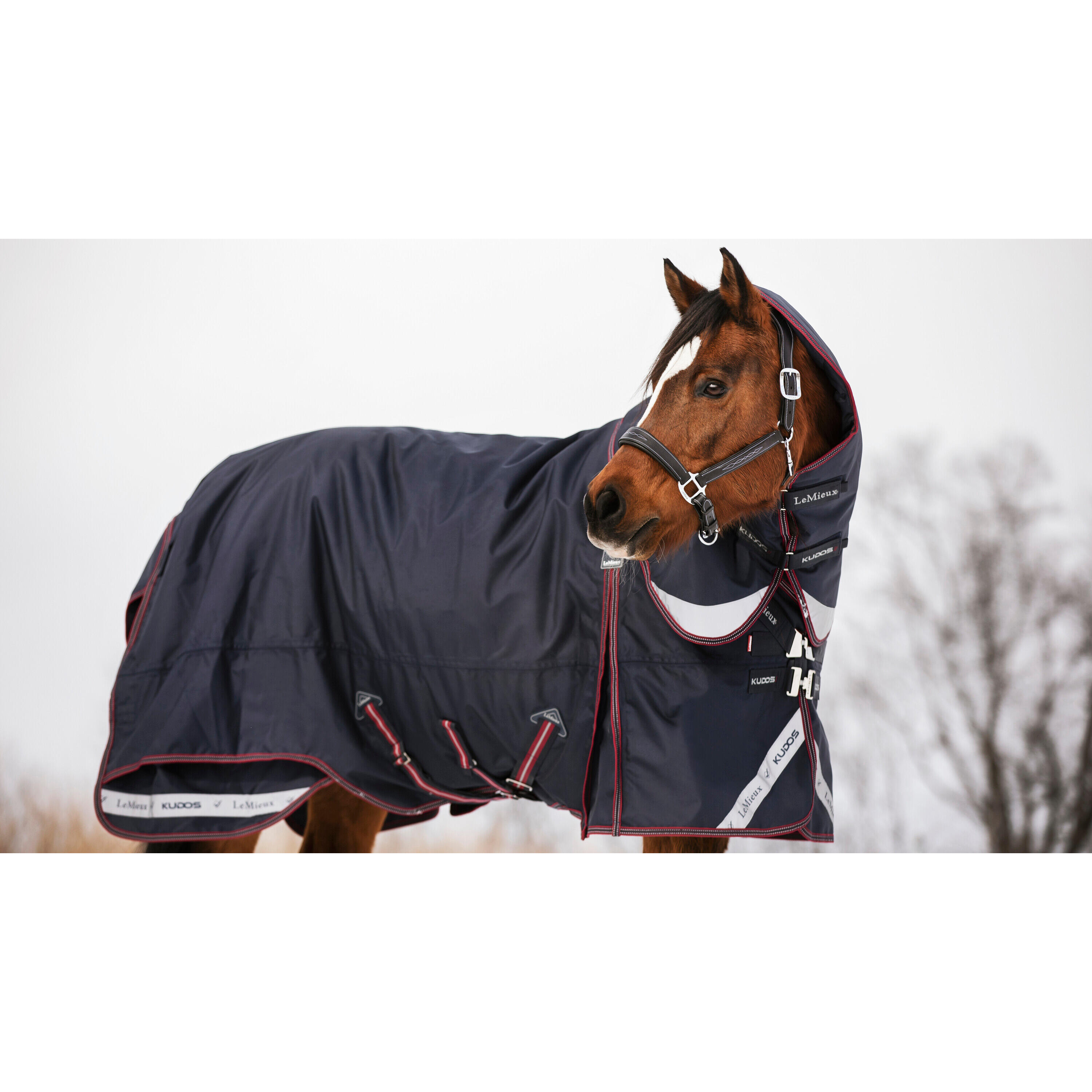Outdoor paardendeken LeMieux Kudos 200g 2/7