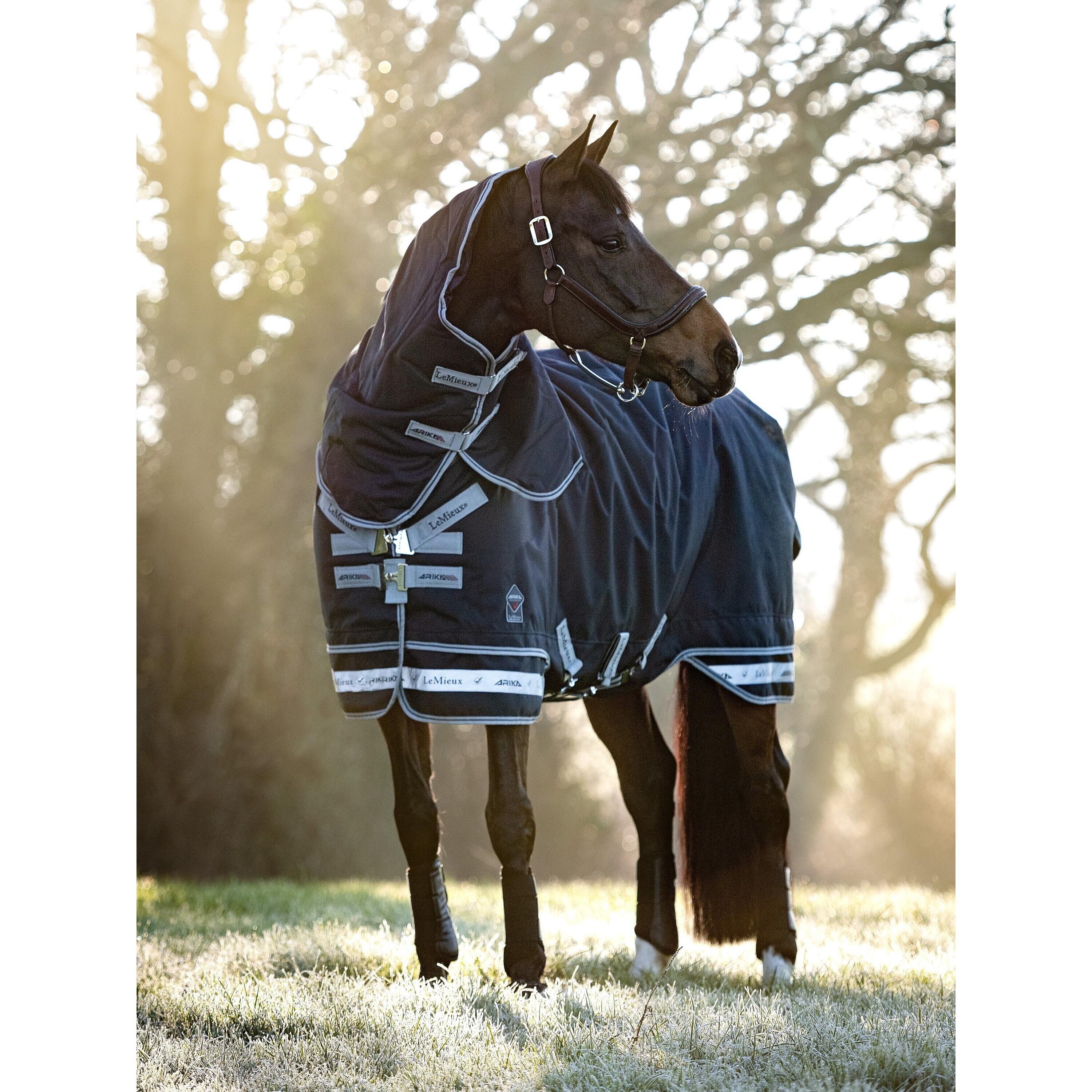 Outdoor paardendeken LeMieux Arika 350g 3/7