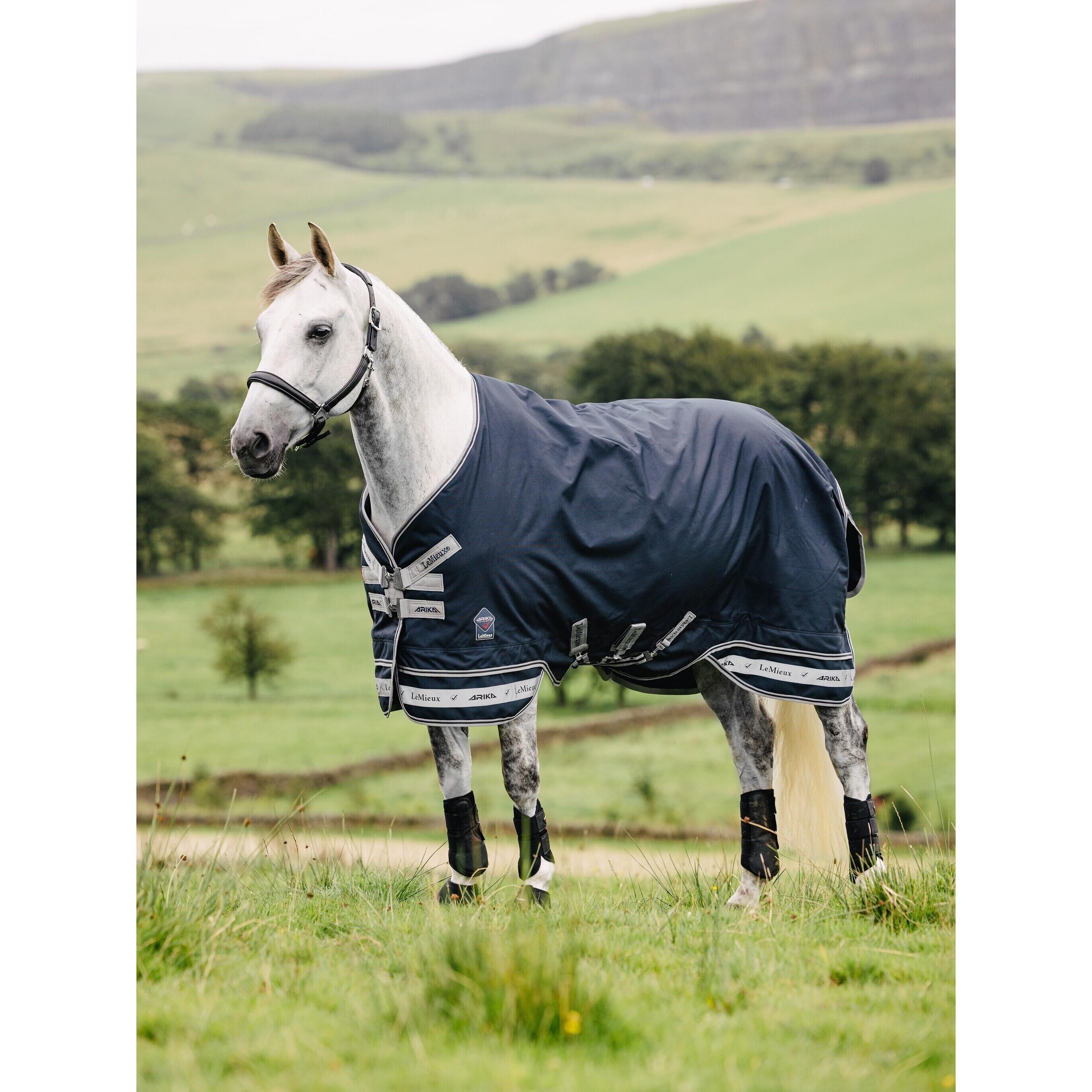 Couverture d'extérieur pour cheval LeMieux Arika 0g 3/7