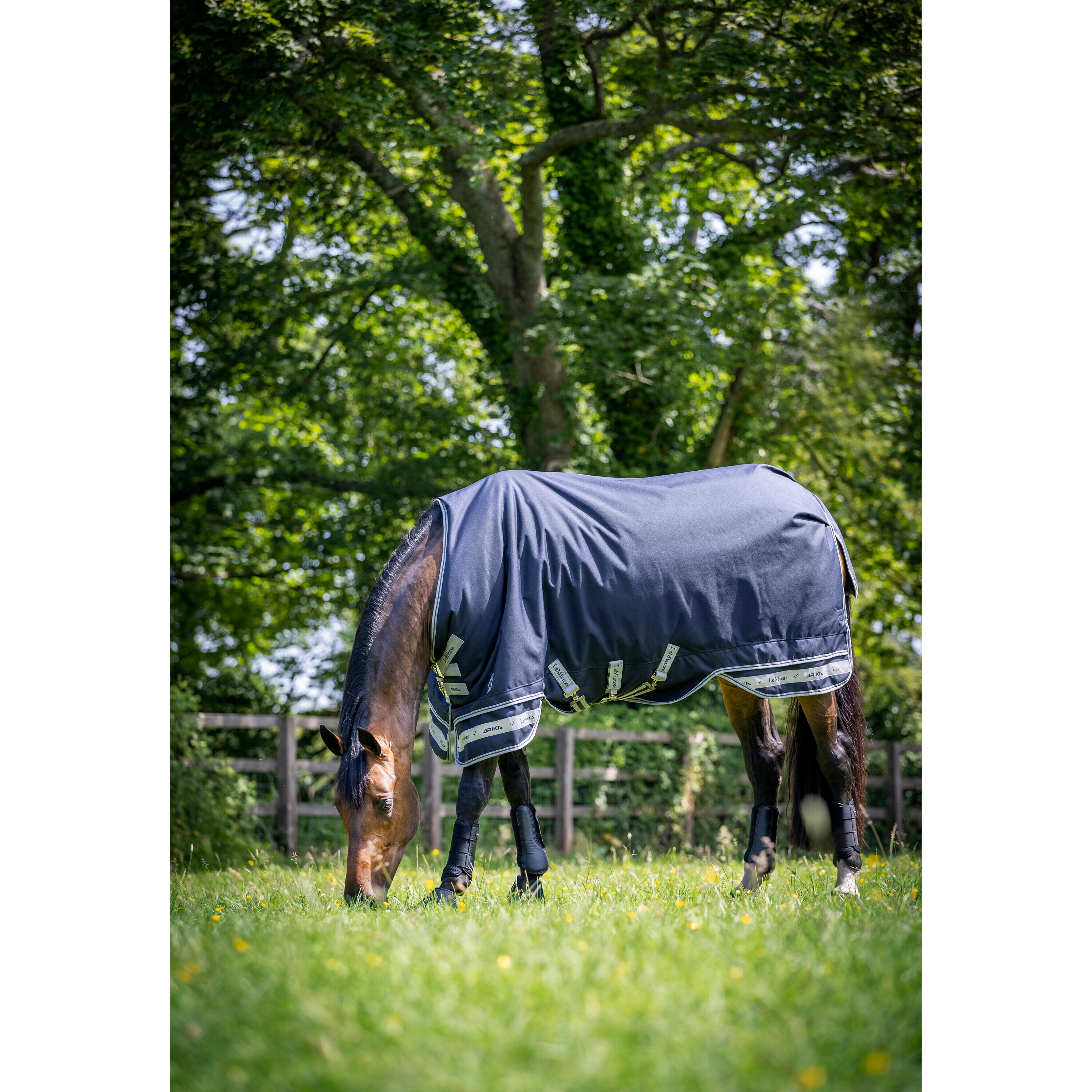 Couverture d'extérieur pour cheval LeMieux Arika 0g 4/7