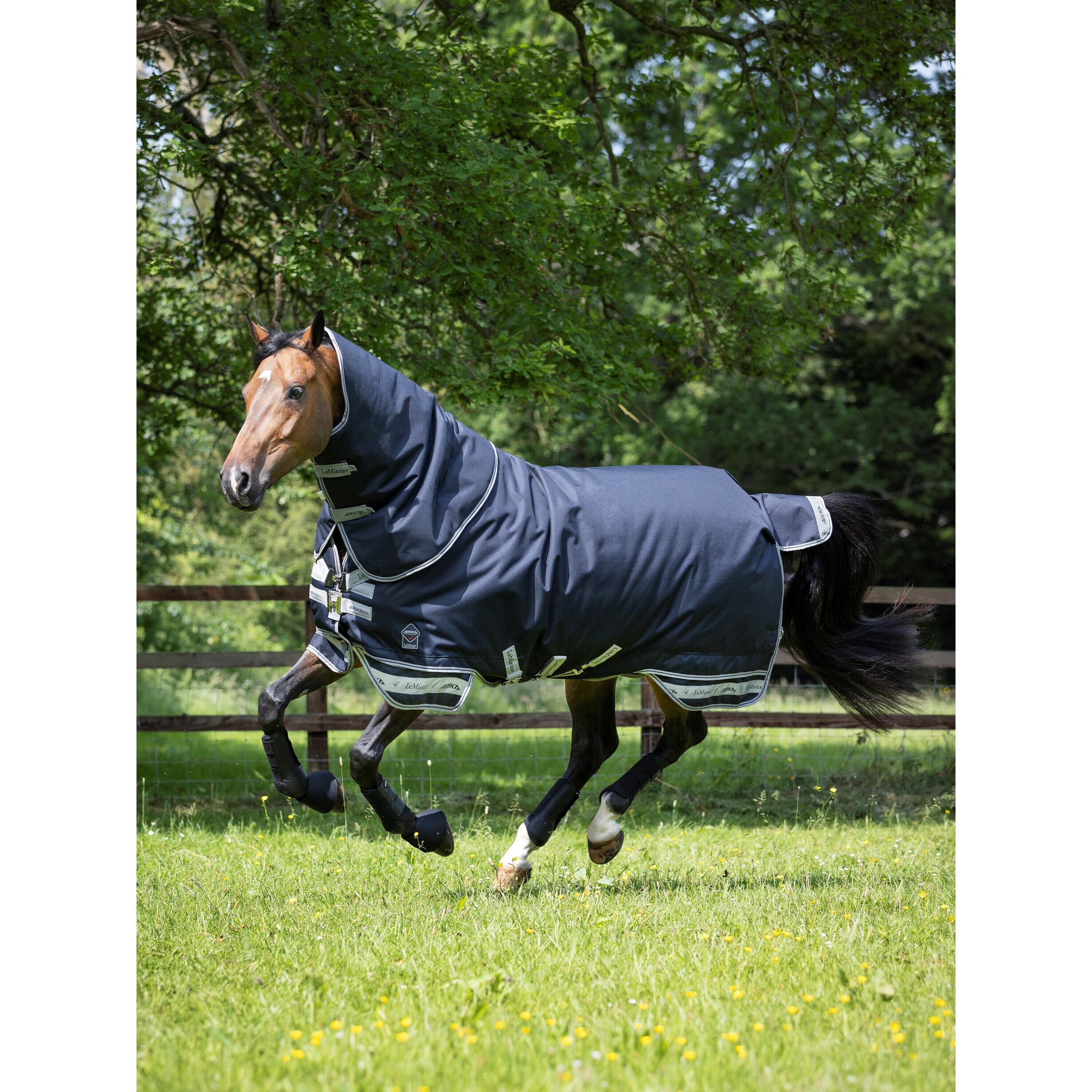 Outdoor paardendeken LeMieux Arika 200g 2/7