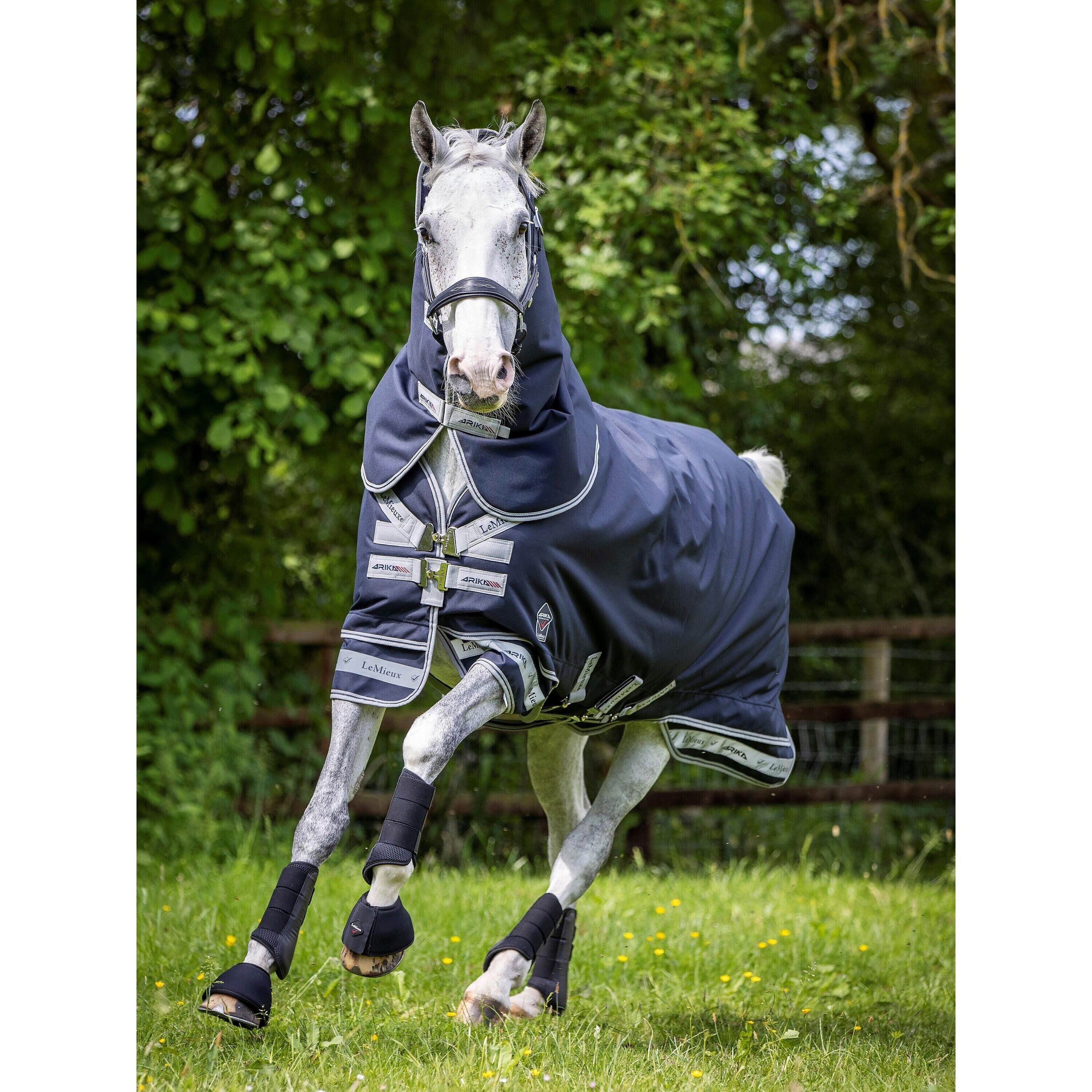 Outdoor paardendeken LeMieux Arika 200g 3/7