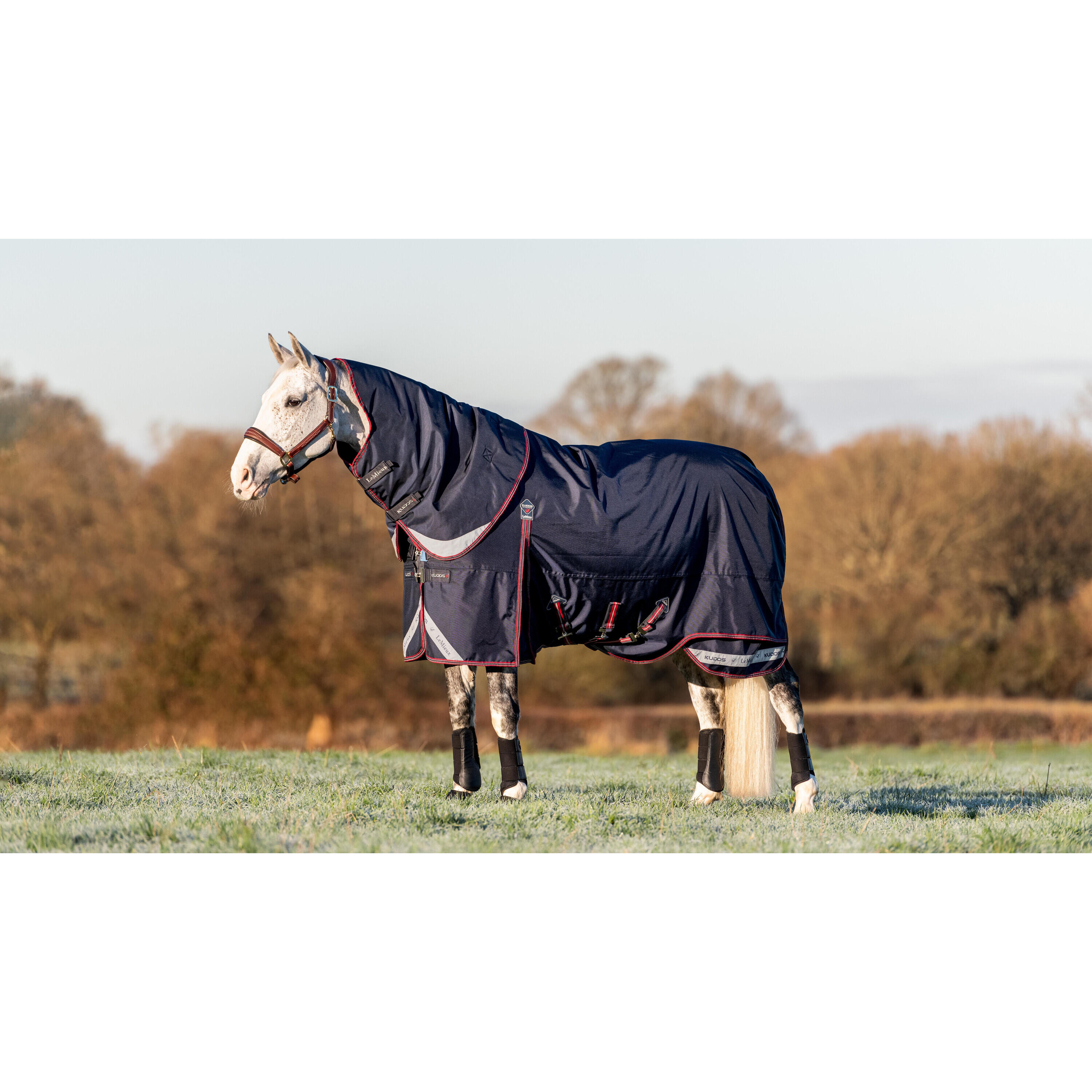 Outdoor paardendeken LeMieux Kudos 100g 2/7