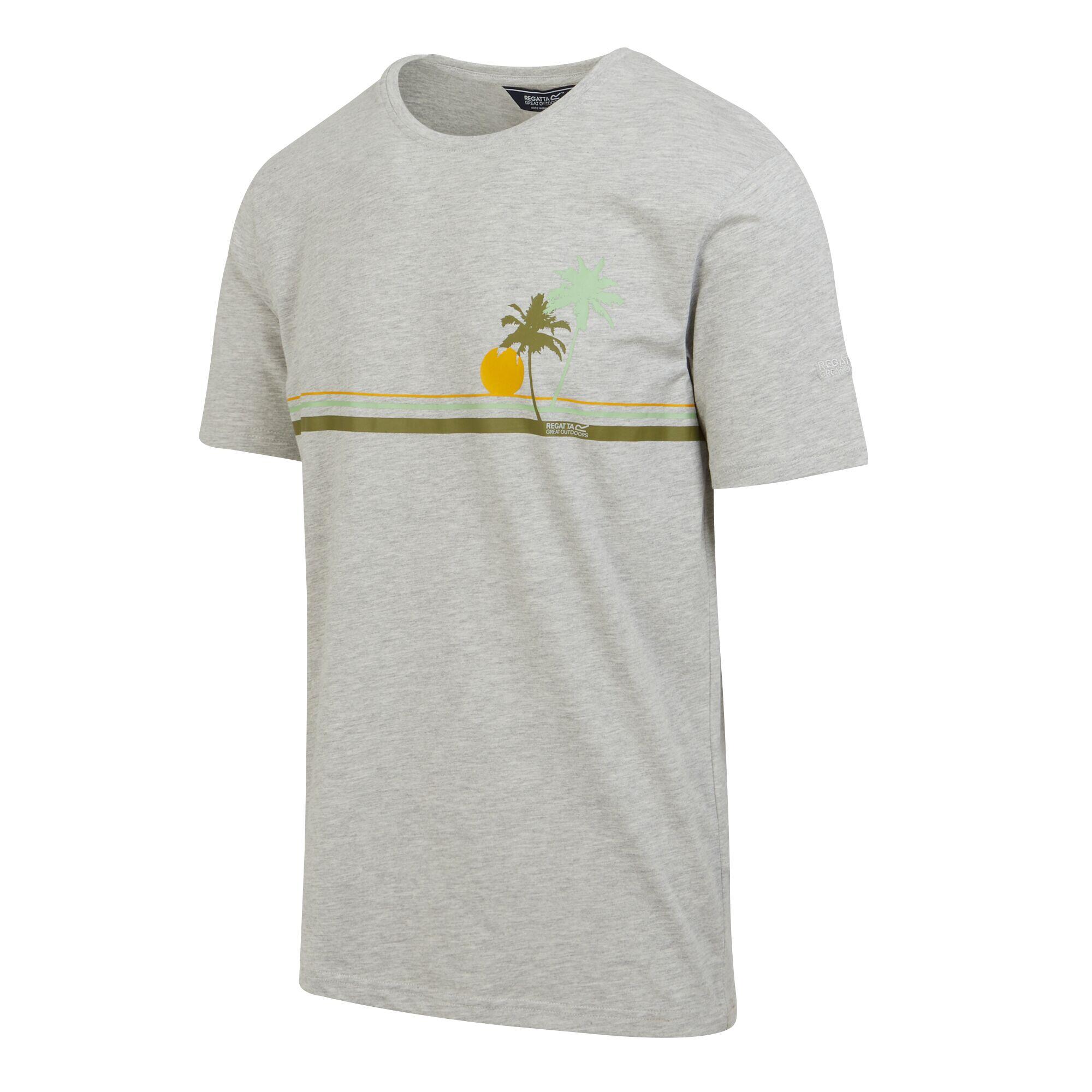 Uomo CLINE Tshirt (grigio argento)