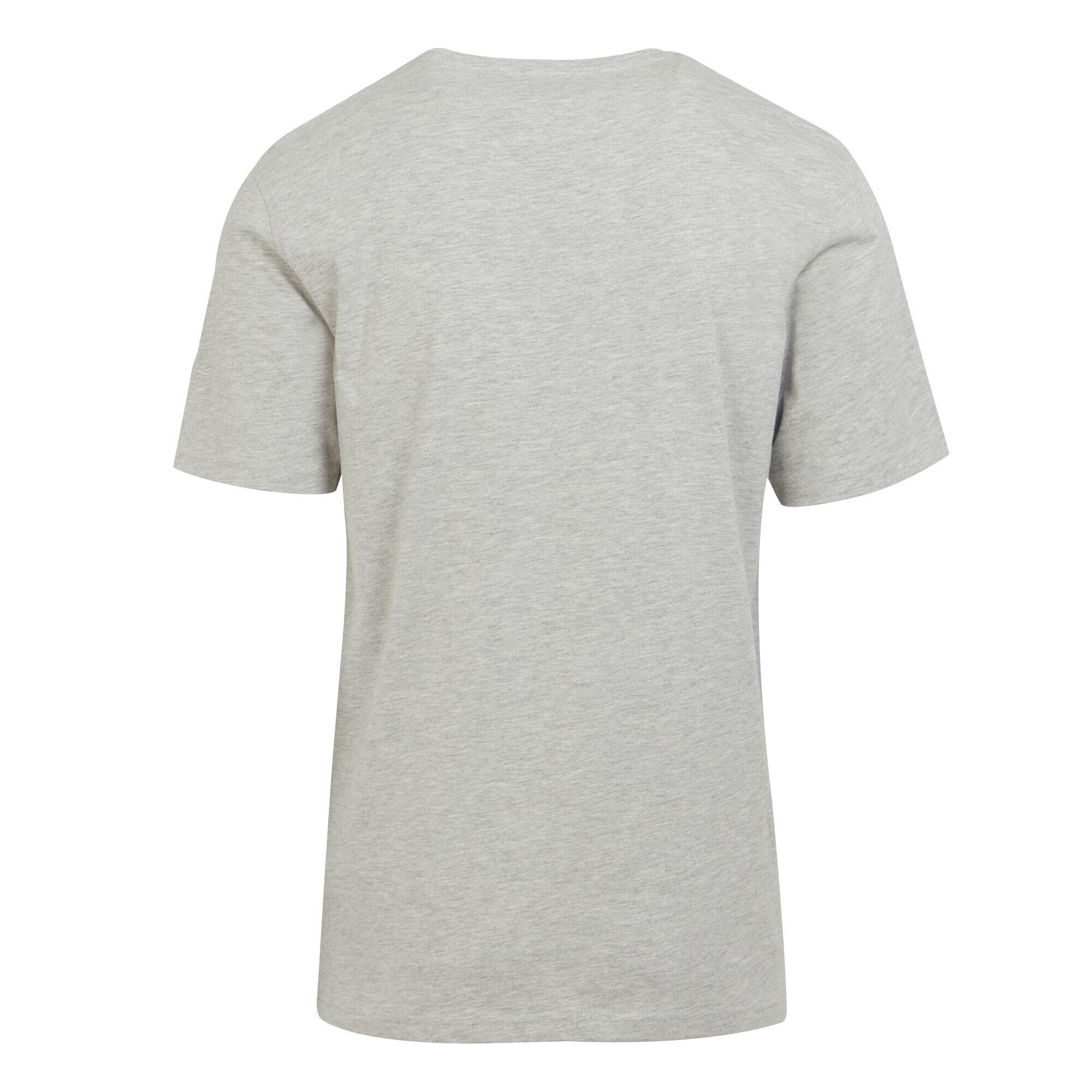 Uomo CLINE Tshirt (grigio argento)