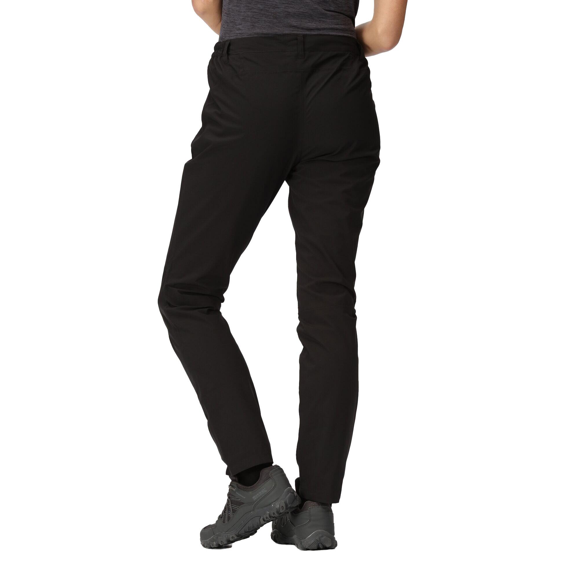 Womens/Ladies Dayhike IV Hiking Trousers (Black) 4/5