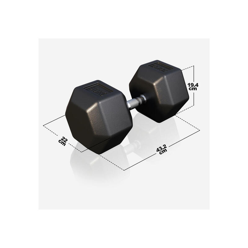 Dumbbell - 1 x 50 kg - Gietijzer - Hexagon - Halter