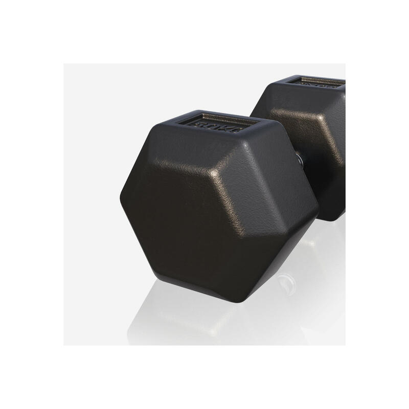 Dumbbell - 1 x 50 kg - Gietijzer - Hexagon - Halter