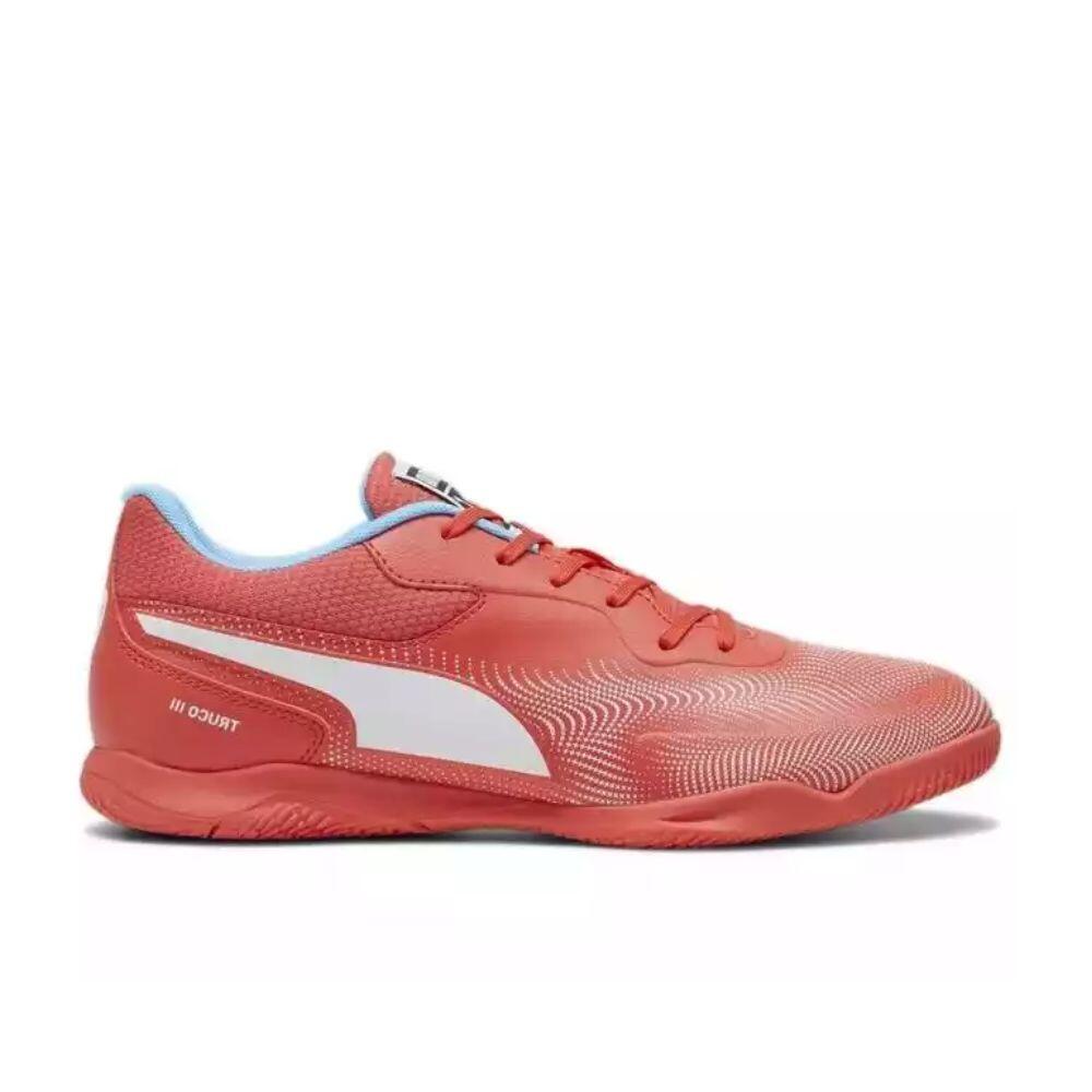 PUMA picture