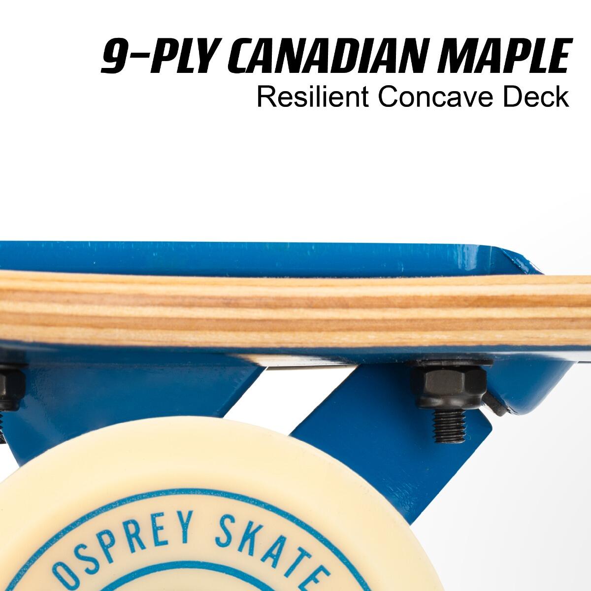 Osprey Complete Longboard, Twin Top Maple Concave Deck Slide Fade 4/4