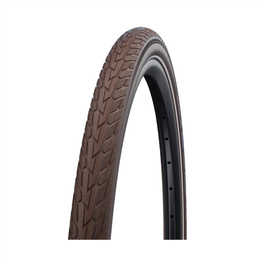 SCHWALBE picture