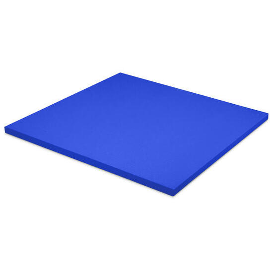 Tapis de judo Classique Bleu Dalle d'env. 100x100x4 cm Unisexe