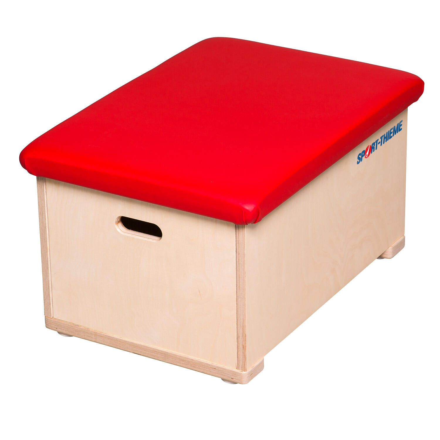 SPORT-THIEME picture