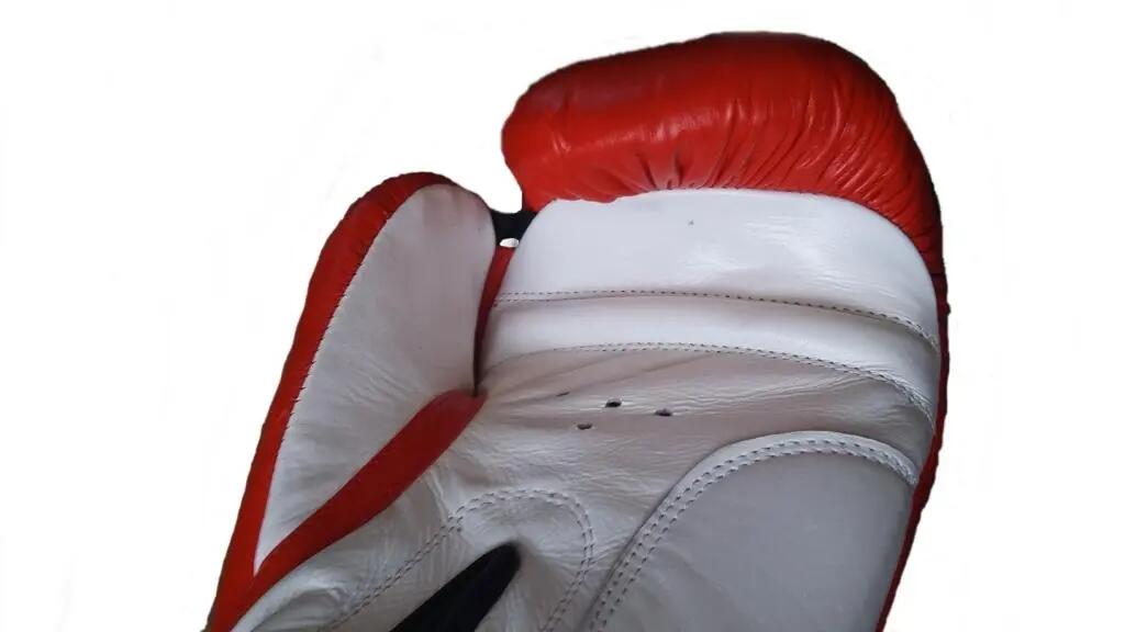 Manusi box lupta Anastasia, piele naturala, rosii, marime 10 OZ 8/15